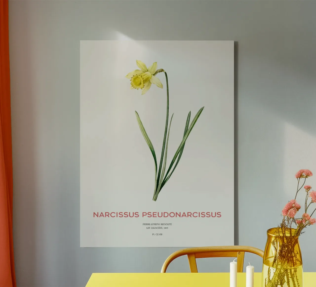 Lent lily or Narcissus pseudonarcissus canvas by Vintagrafica