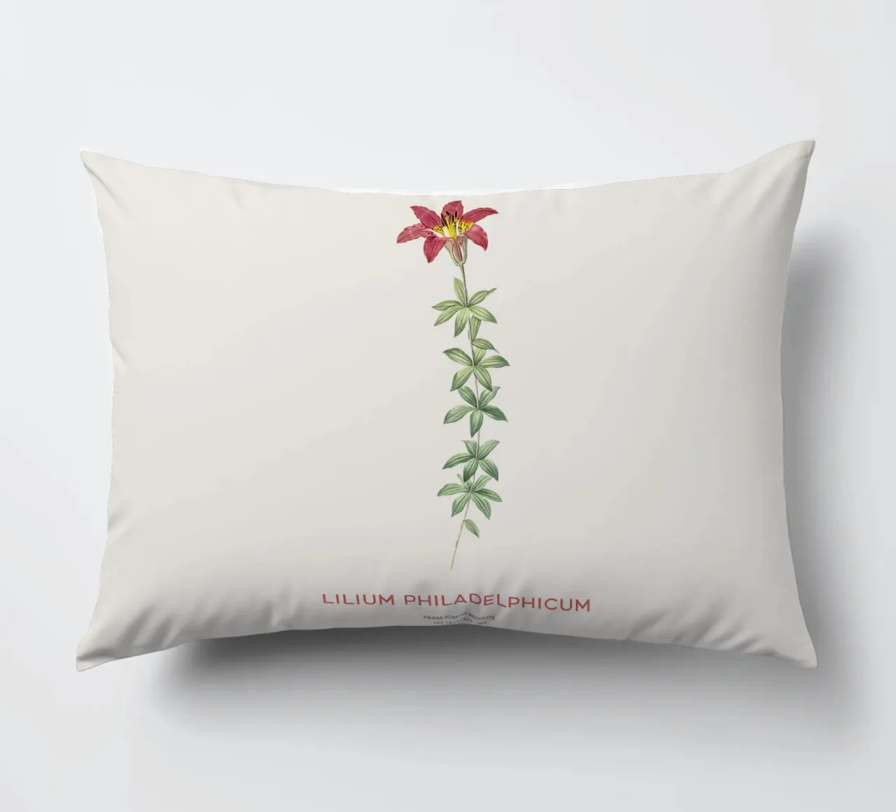 Giglio di Filadelfia o Lilium philadelphicum cuscino da Vintagrafica