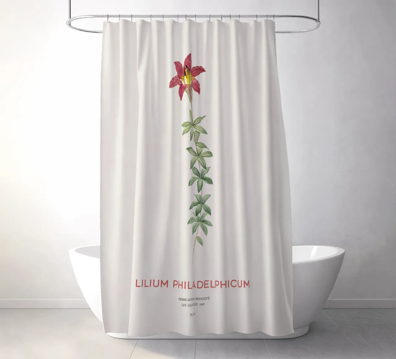Giglio di Filadelfia o Lilium philadelphicum tenda da doccia da Vintagrafica