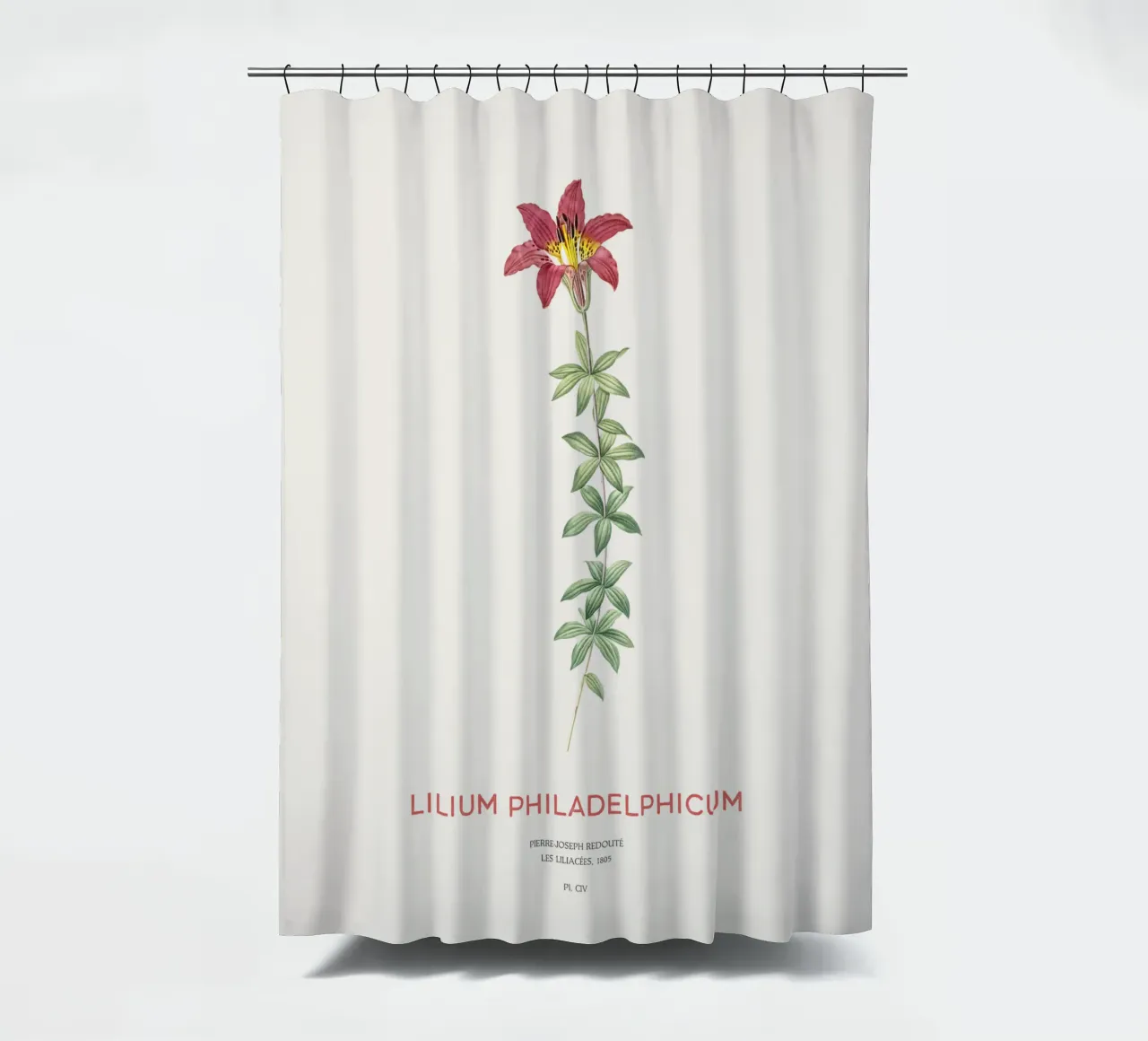 Giglio di Filadelfia o Lilium philadelphicum tenda da doccia da Vintagrafica
