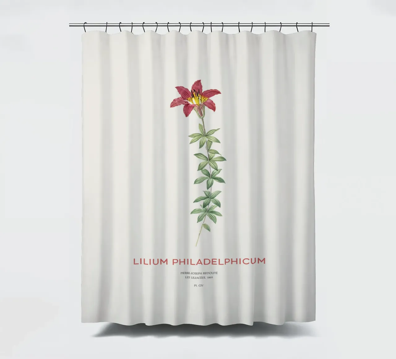 Giglio di Filadelfia o Lilium philadelphicum tenda da doccia da Vintagrafica
