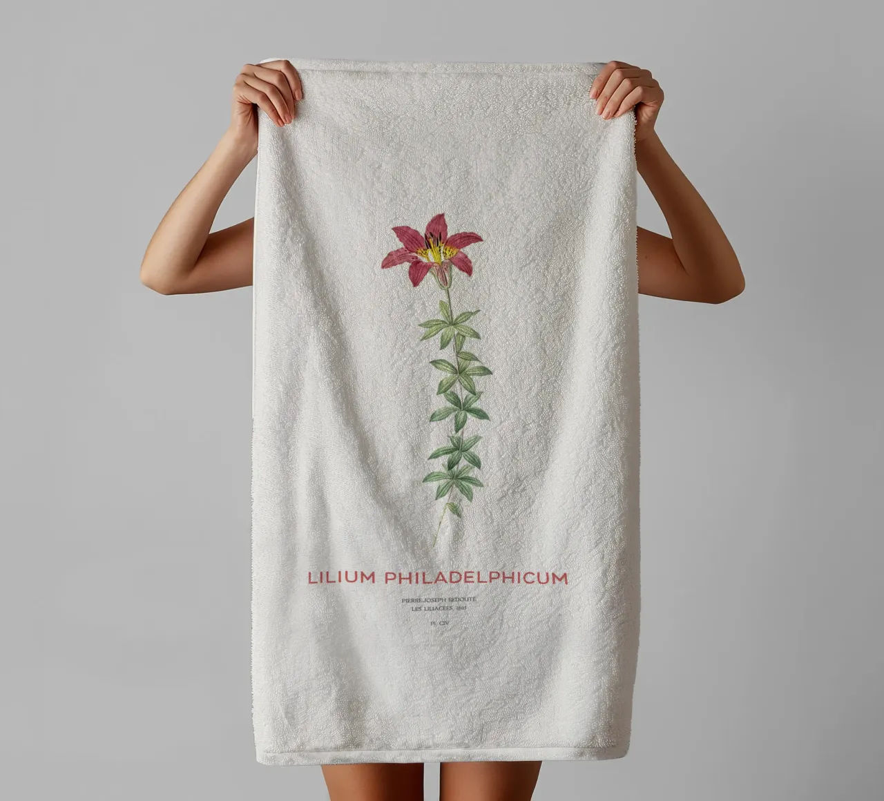 Giglio di Filadelfia o Lilium philadelphicum asciugamano da bagno da Vintagrafica