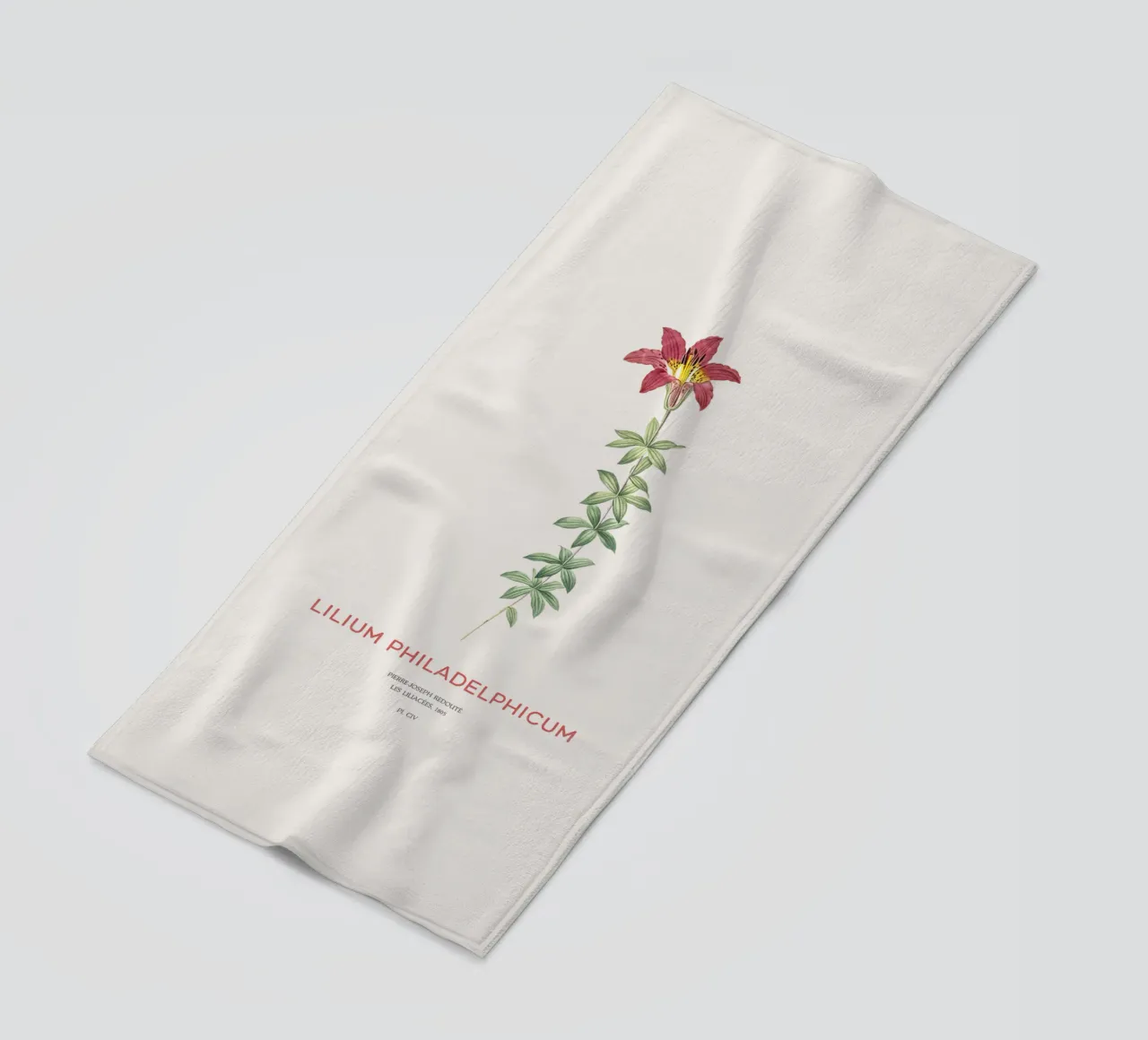 Giglio di Filadelfia o Lilium philadelphicum telo mare da Vintagrafica