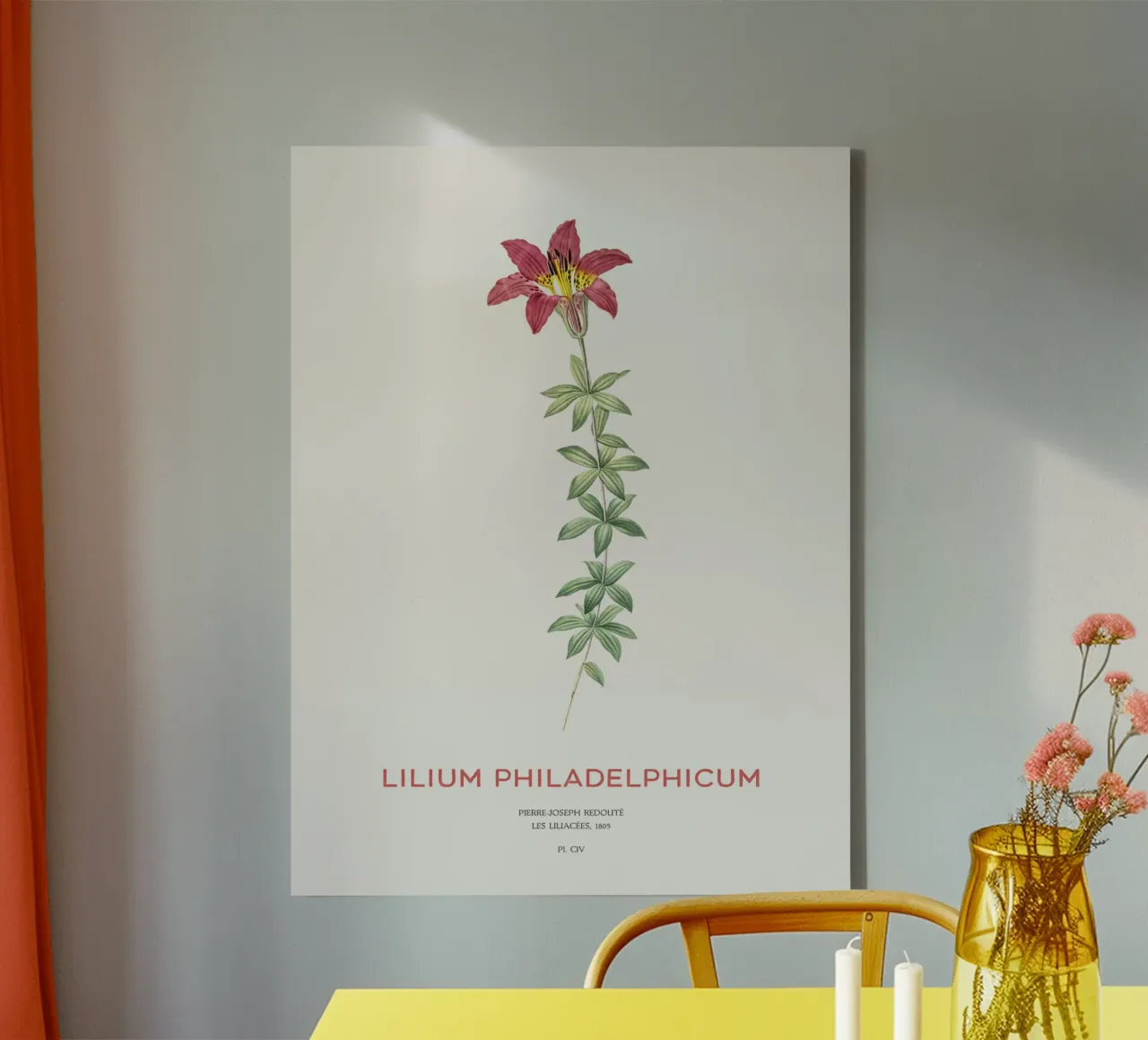 Giglio di Filadelfia o Lilium philadelphicum tela da Vintagrafica