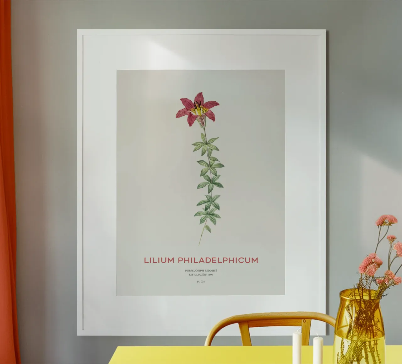 Giglio di Filadelfia o Lilium philadelphicum carta hahnemühle da Vintagrafica
