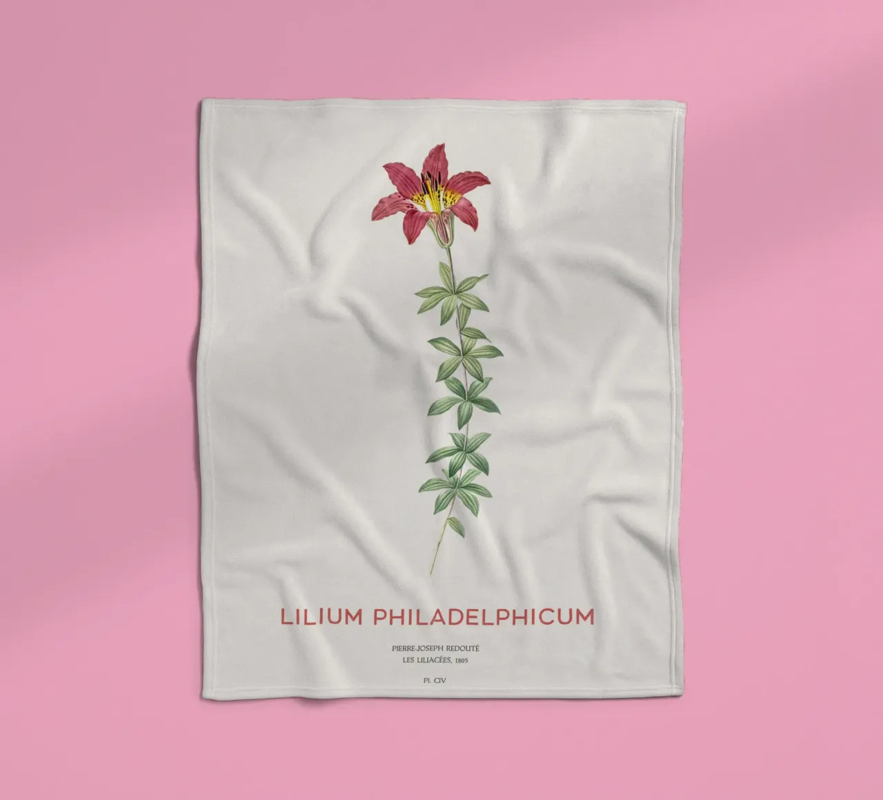 Giglio di Filadelfia o Lilium philadelphicum coperta in pile da Vintagrafica