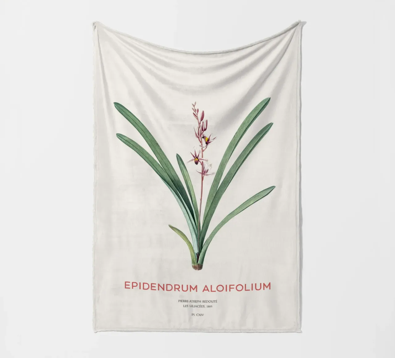 Aloe-blättriges Cymbidium oder Epidendrum aloifolium Fleecedecke von Vintagrafica