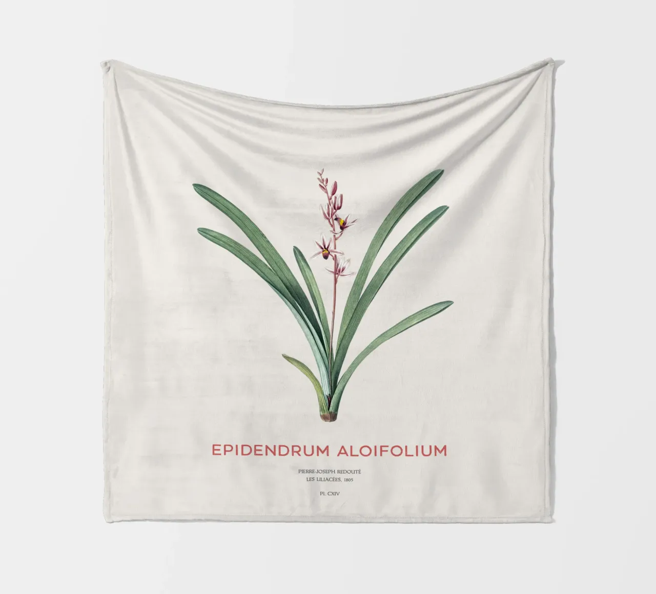 Aloe-blättriges Cymbidium oder Epidendrum aloifolium Fleecedecke von Vintagrafica