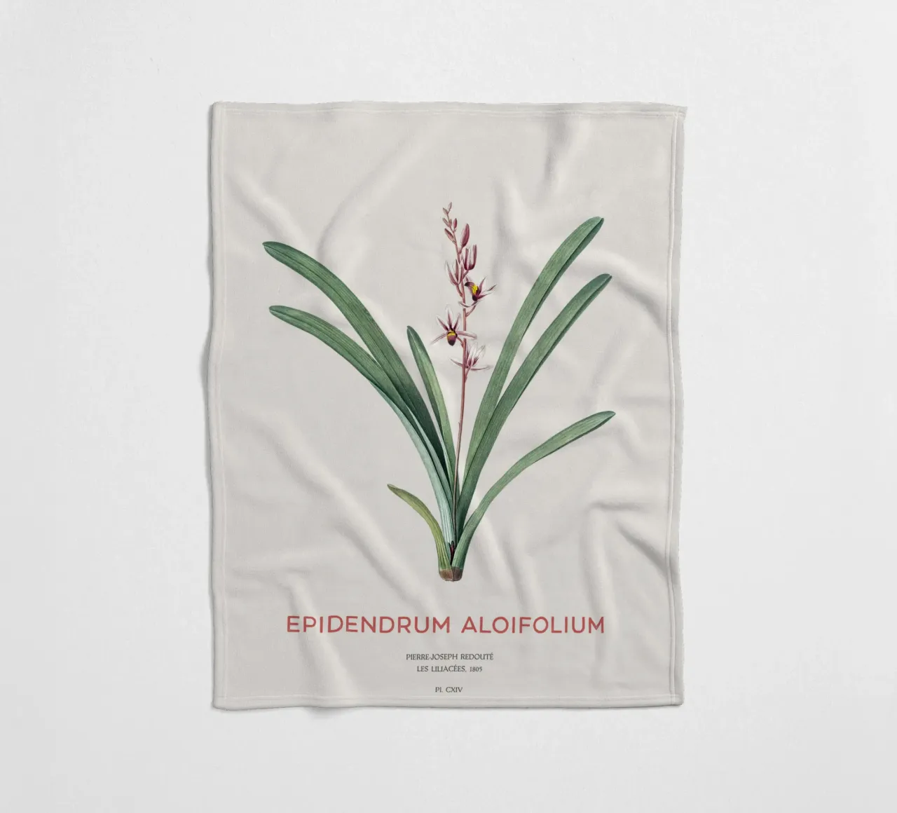 Aloe-blättriges Cymbidium oder Epidendrum aloifolium Fleecedecke von Vintagrafica
