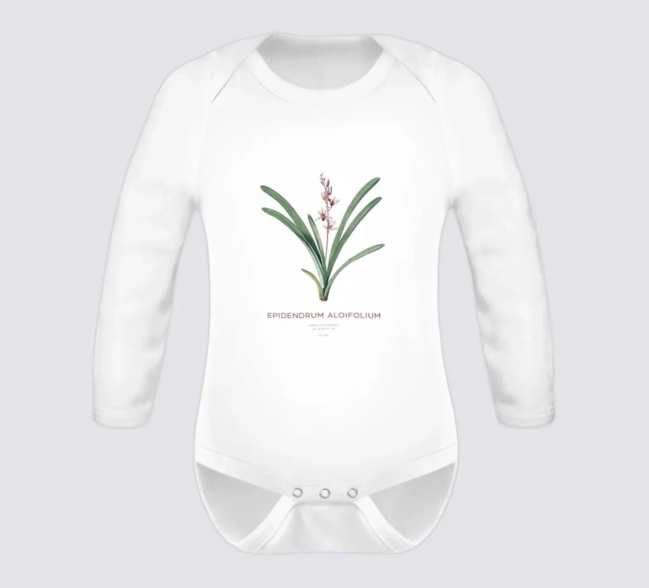 Aloe-blättriges Cymbidium oder Epidendrum aloifolium Langarm Babybody von Vintagrafica