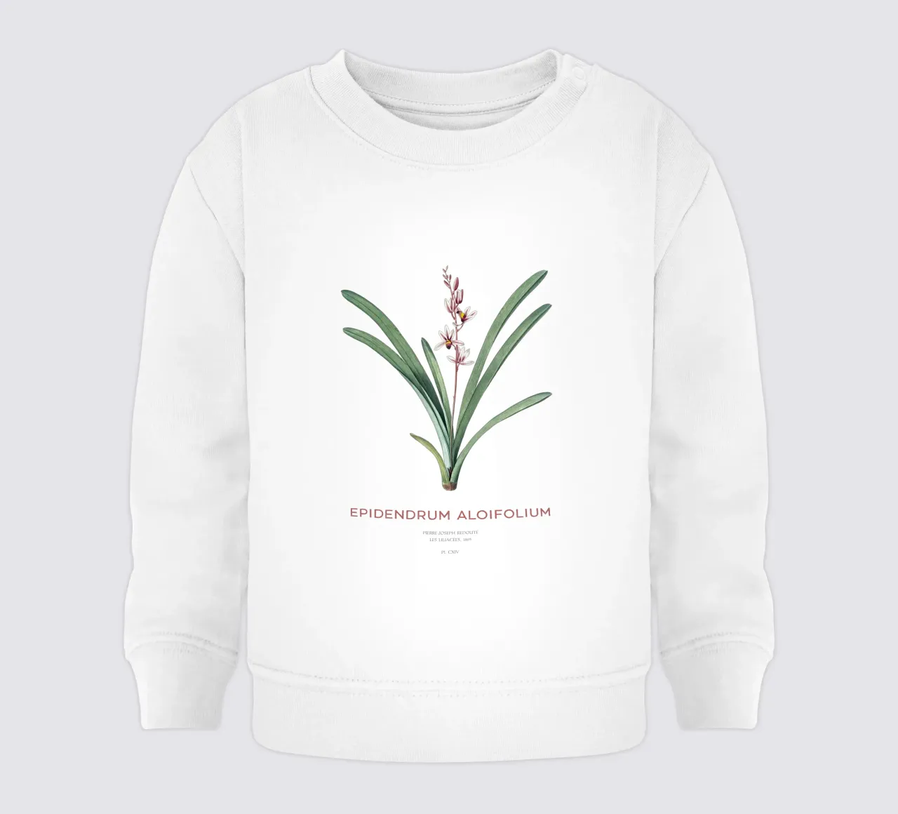 Aloe-blättriges Cymbidium oder Epidendrum aloifolium Baby Sweatshirt von Vintagrafica