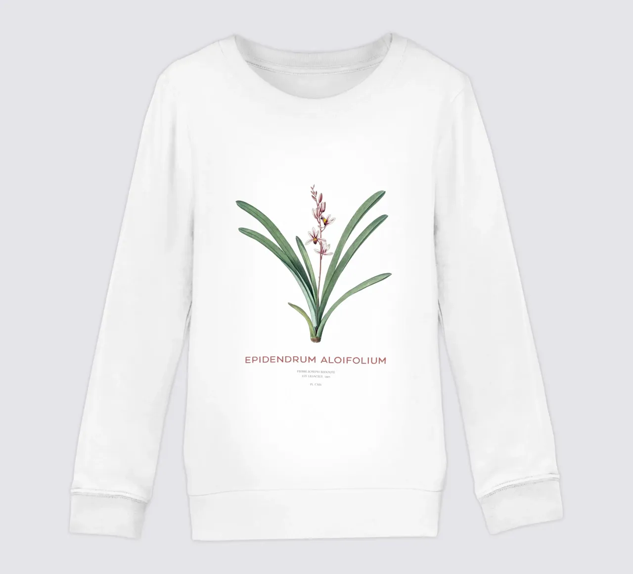 Aloe-blättriges Cymbidium oder Epidendrum aloifolium Kinder Sweatshirt von Vintagrafica