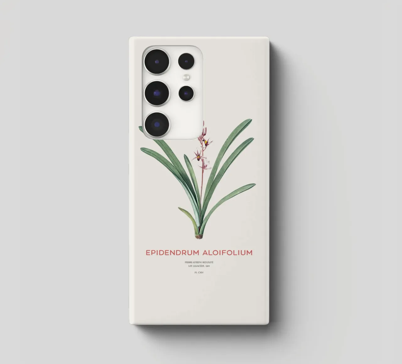 Aloe-blättriges Cymbidium oder Epidendrum aloifolium Samsung Hülle von Vintagrafica