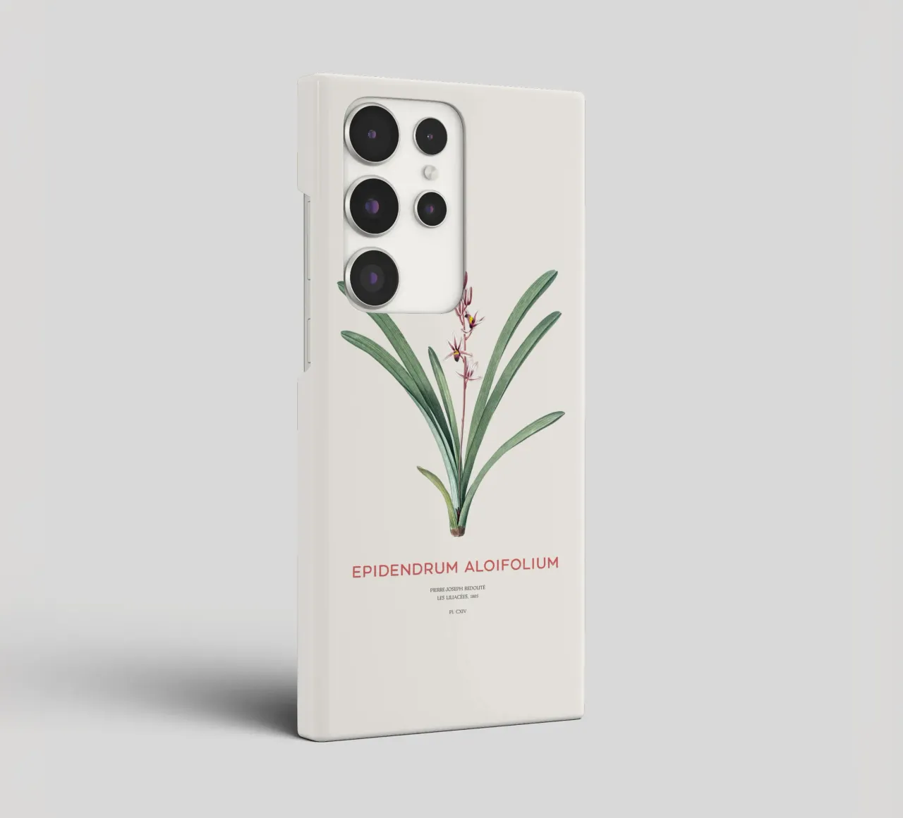 Aloe-blättriges Cymbidium oder Epidendrum aloifolium Samsung Hülle von Vintagrafica