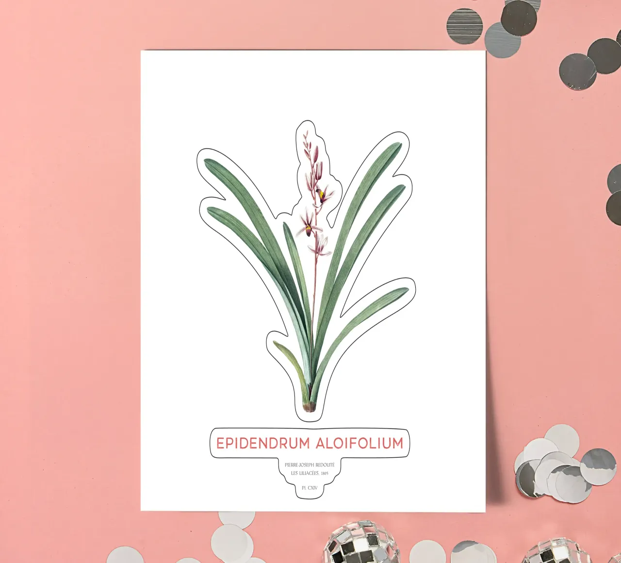 Aloe-blättriges Cymbidium oder Epidendrum aloifolium Stickerbogen von Vintagrafica