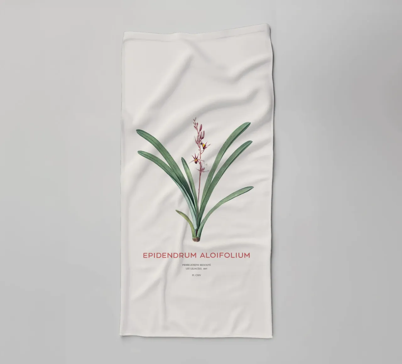Aloe-blättriges Cymbidium oder Epidendrum aloifolium Handtuch von Vintagrafica