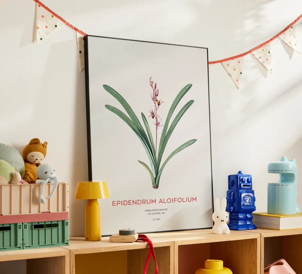 Aloe-blättriges Cymbidium oder Epidendrum aloifolium Alu-Dibond von Vintagrafica