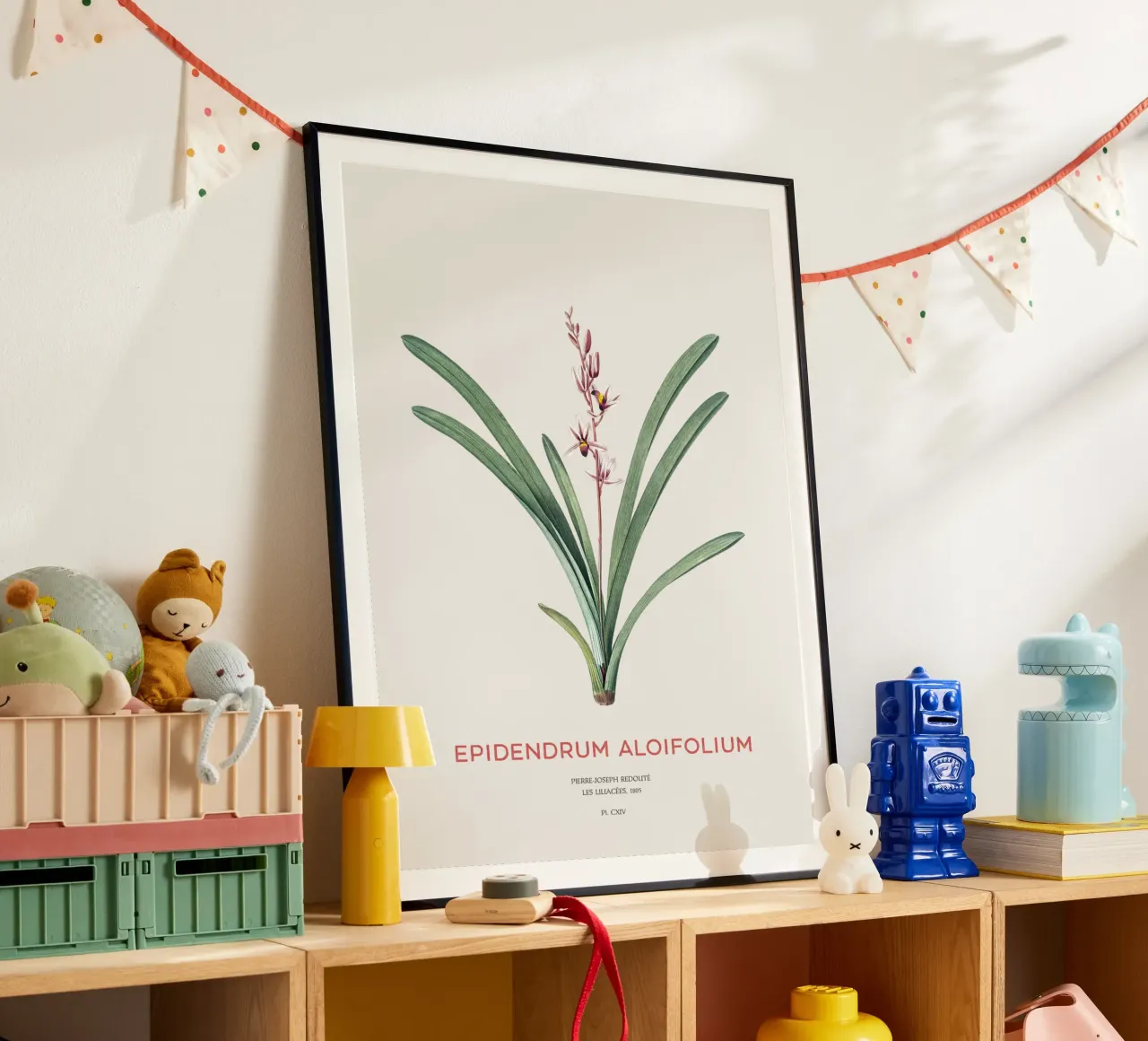 Cymbidium à feuilles d'aloès ou Epidendrum aloifolium poster avec cadre en plastique de Vintagrafica