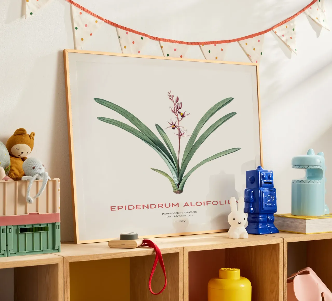 Cymbidium à feuilles d'aloès ou Epidendrum aloifolium poster avec cadre en plastique de Vintagrafica