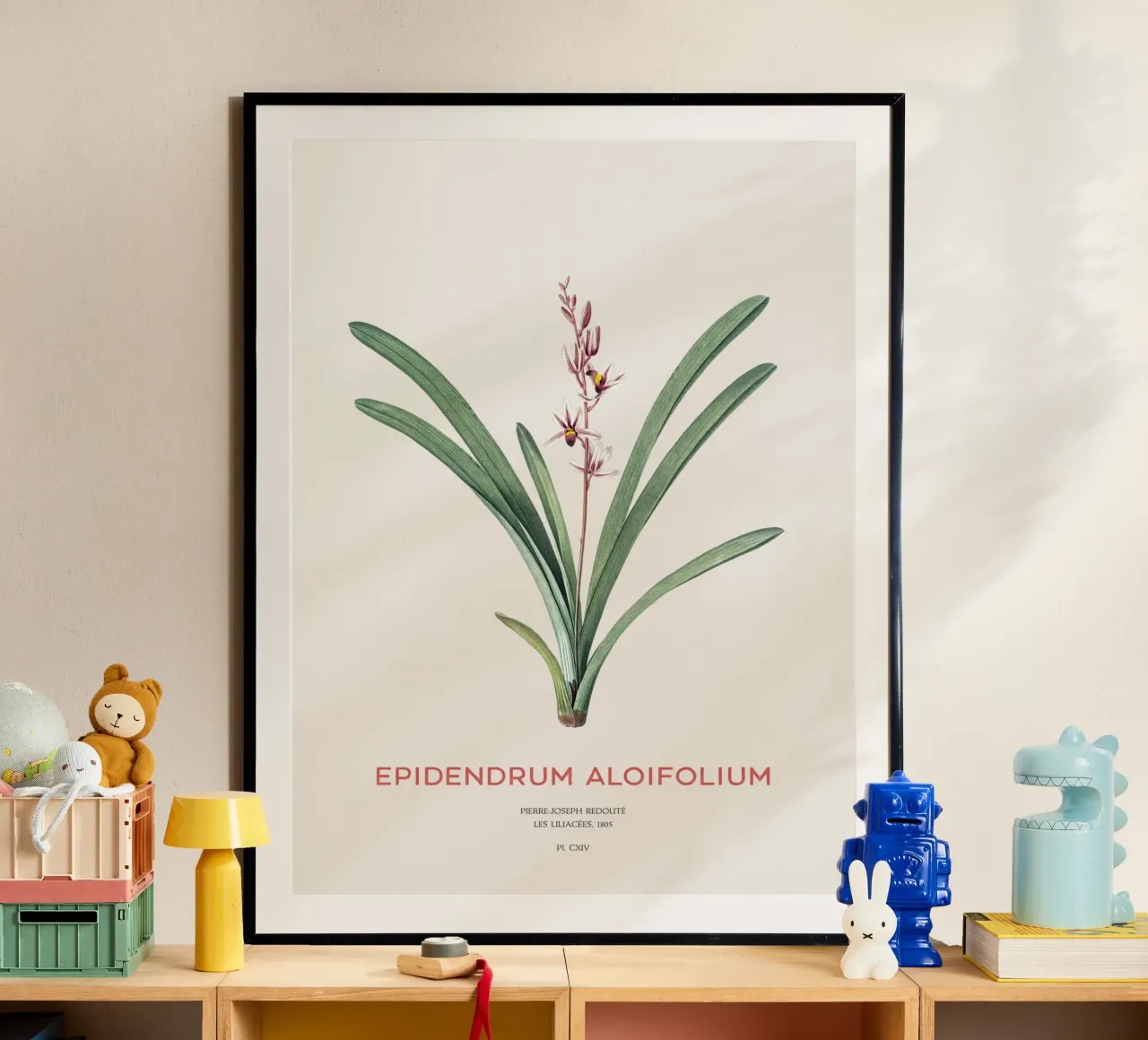 Cymbidium à feuilles d'aloès ou Epidendrum aloifolium poster avec cadre en plastique de Vintagrafica