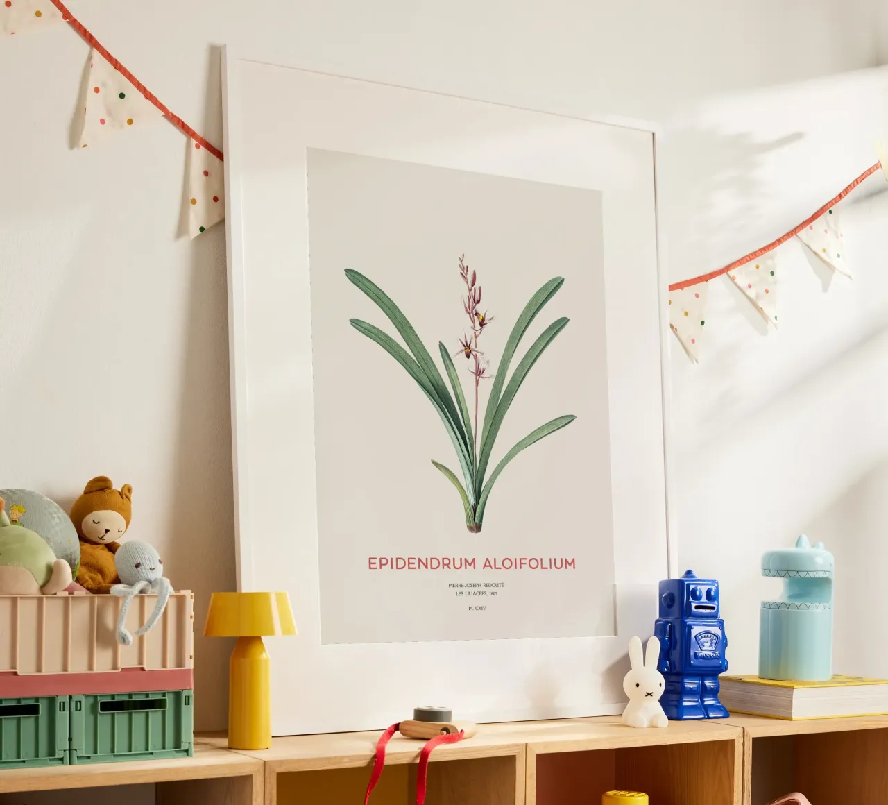Aloe-blättriges Cymbidium oder Epidendrum aloifolium Hahnemühle von Vintagrafica