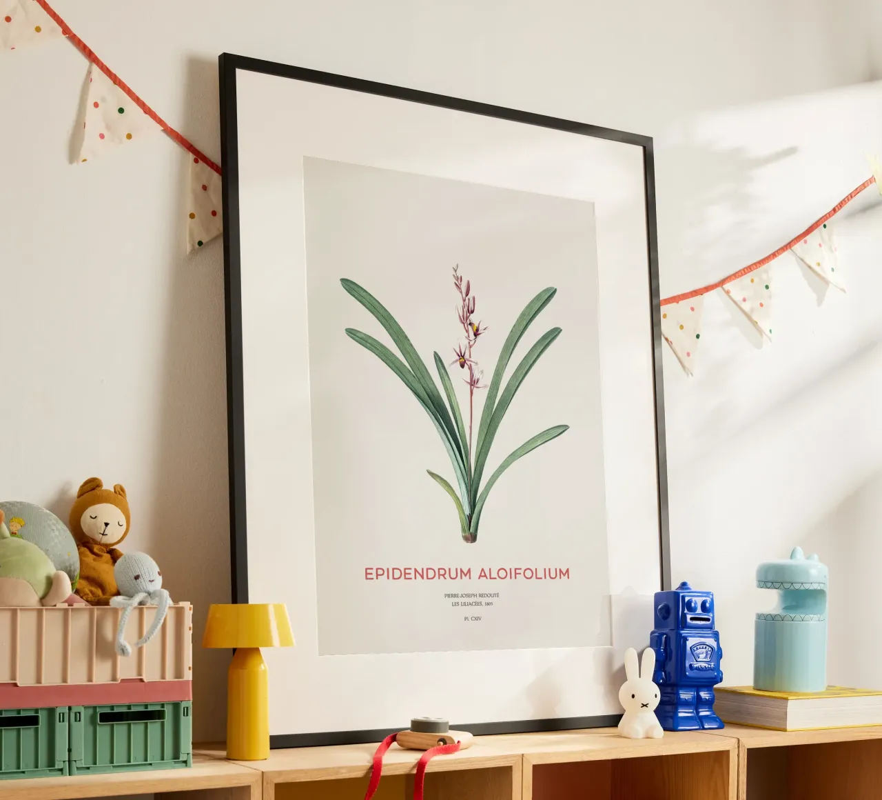 Cymbidium à feuilles d'aloès ou Epidendrum aloifolium poster avec cadre en plastique de Vintagrafica