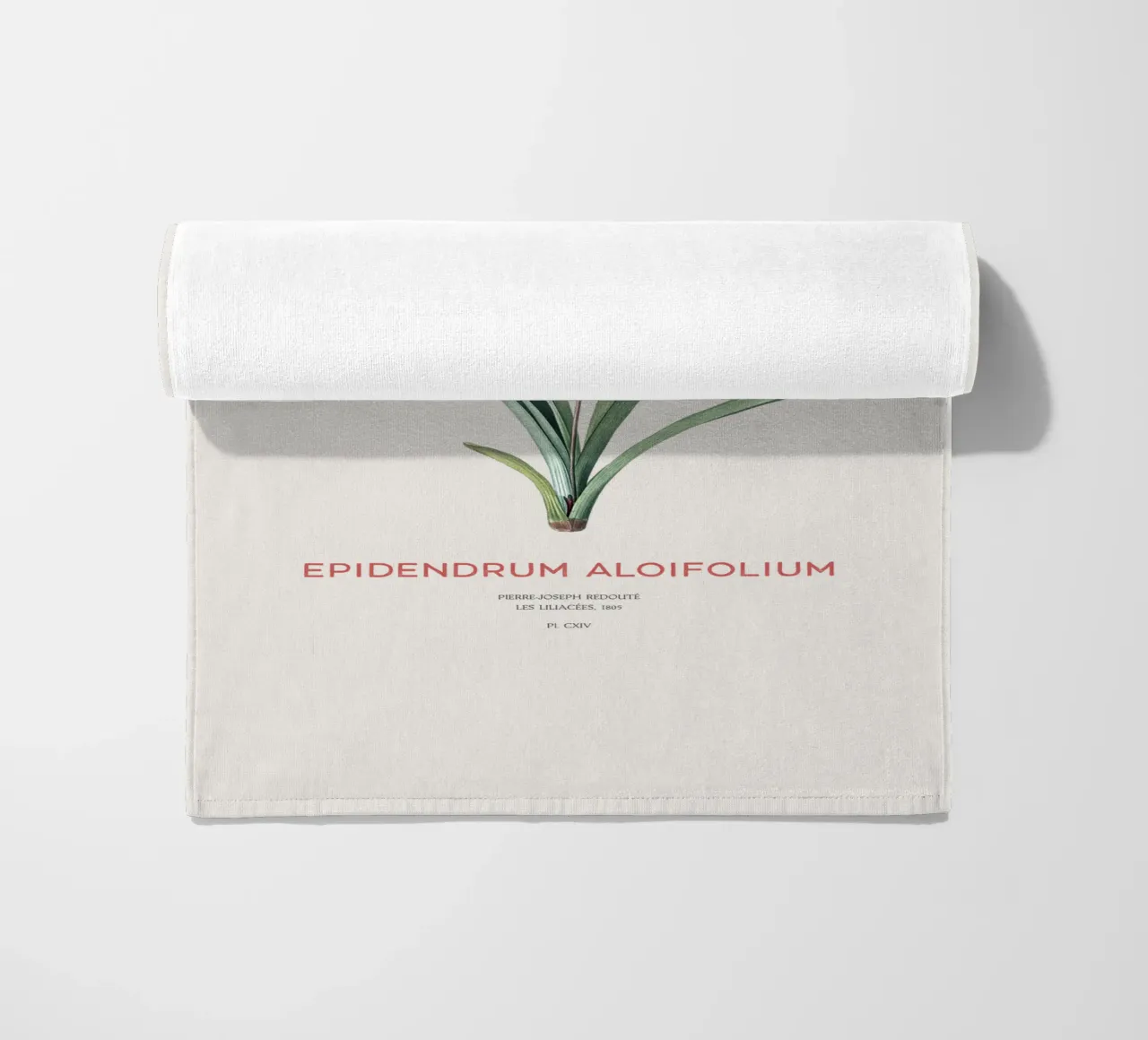 Aloe-blättriges Cymbidium oder Epidendrum aloifolium Strandtuch von Vintagrafica