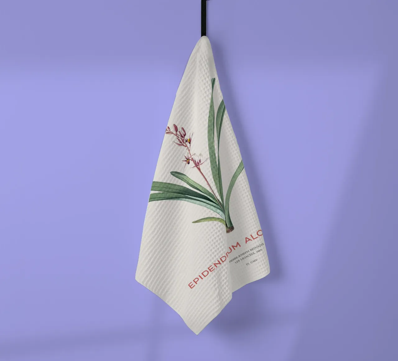 Aloe-blättriges Cymbidium oder Epidendrum aloifolium Geschirrtuch von Vintagrafica