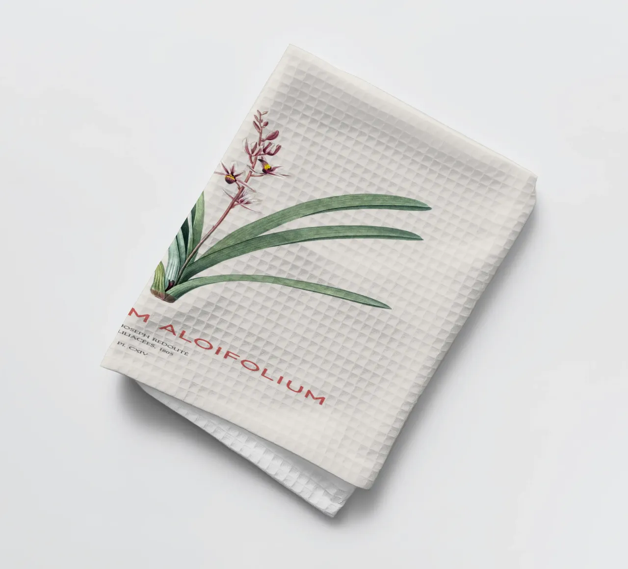 Aloe-blättriges Cymbidium oder Epidendrum aloifolium Geschirrtuch von Vintagrafica