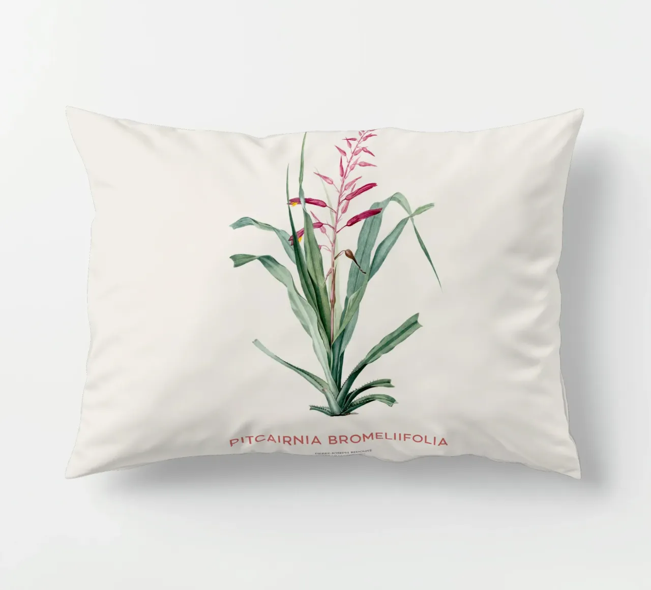 Pitcairnia bromeliifolia fiore cuscino da Vintagrafica