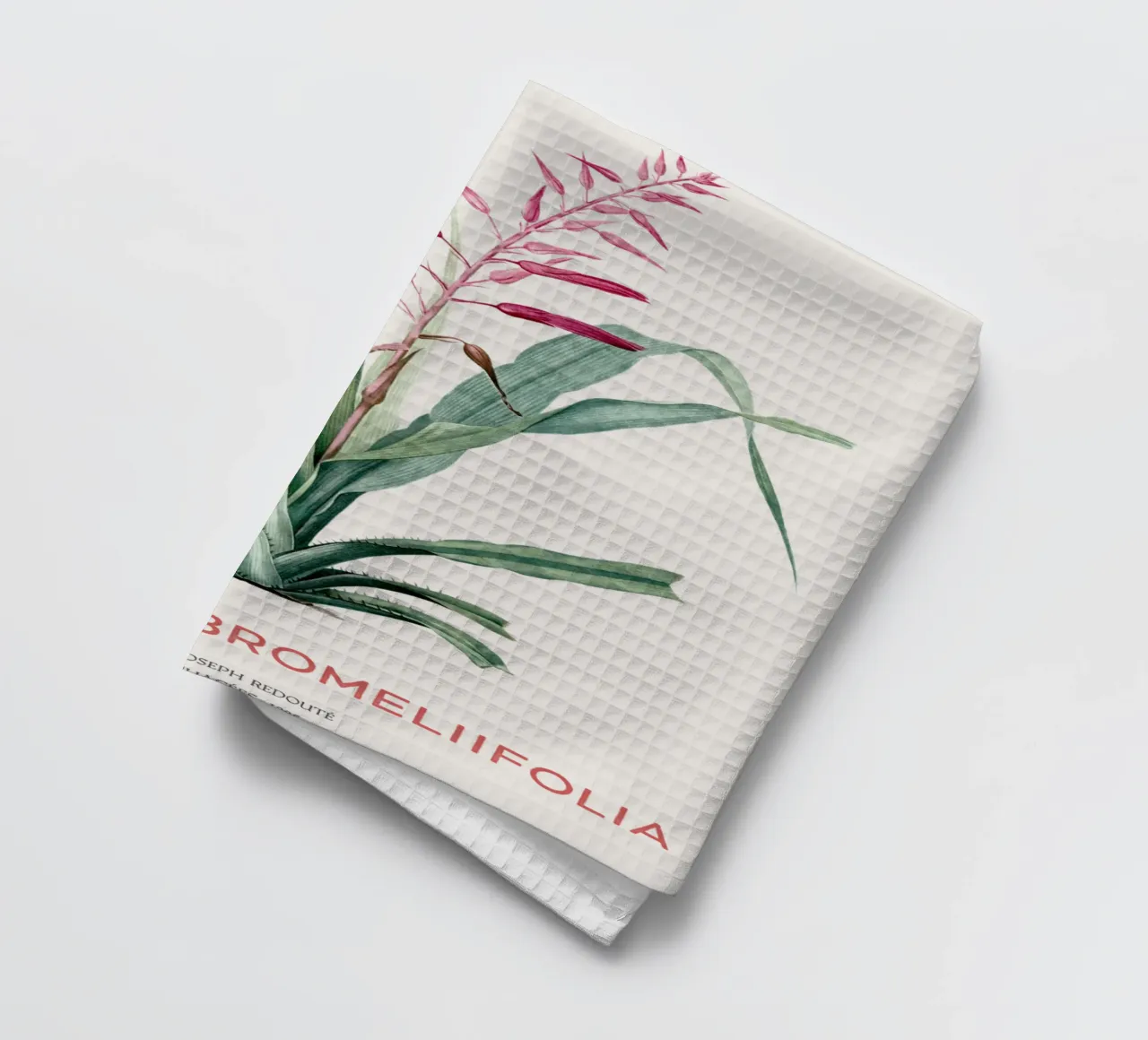 Pitcairnia bromeliifolia fiore canovaccio da cucina da Vintagrafica