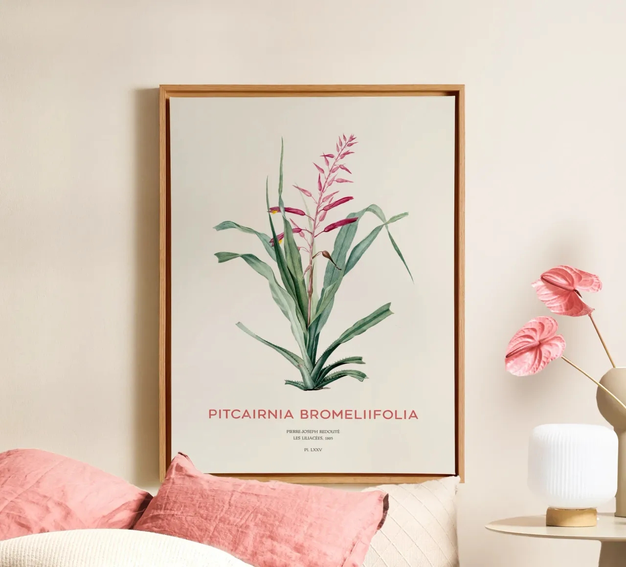 Pitcairnia bromeliifolia fiore tela con Cornice a cassetta da Vintagrafica