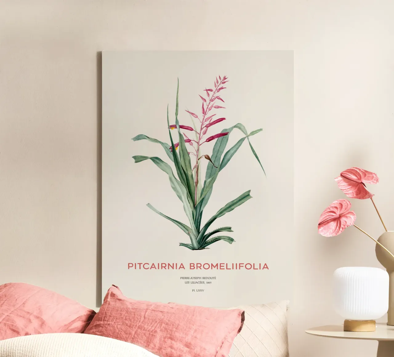 Pitcairnia bromeliifolia fiore tela con Cornice a cassetta da Vintagrafica