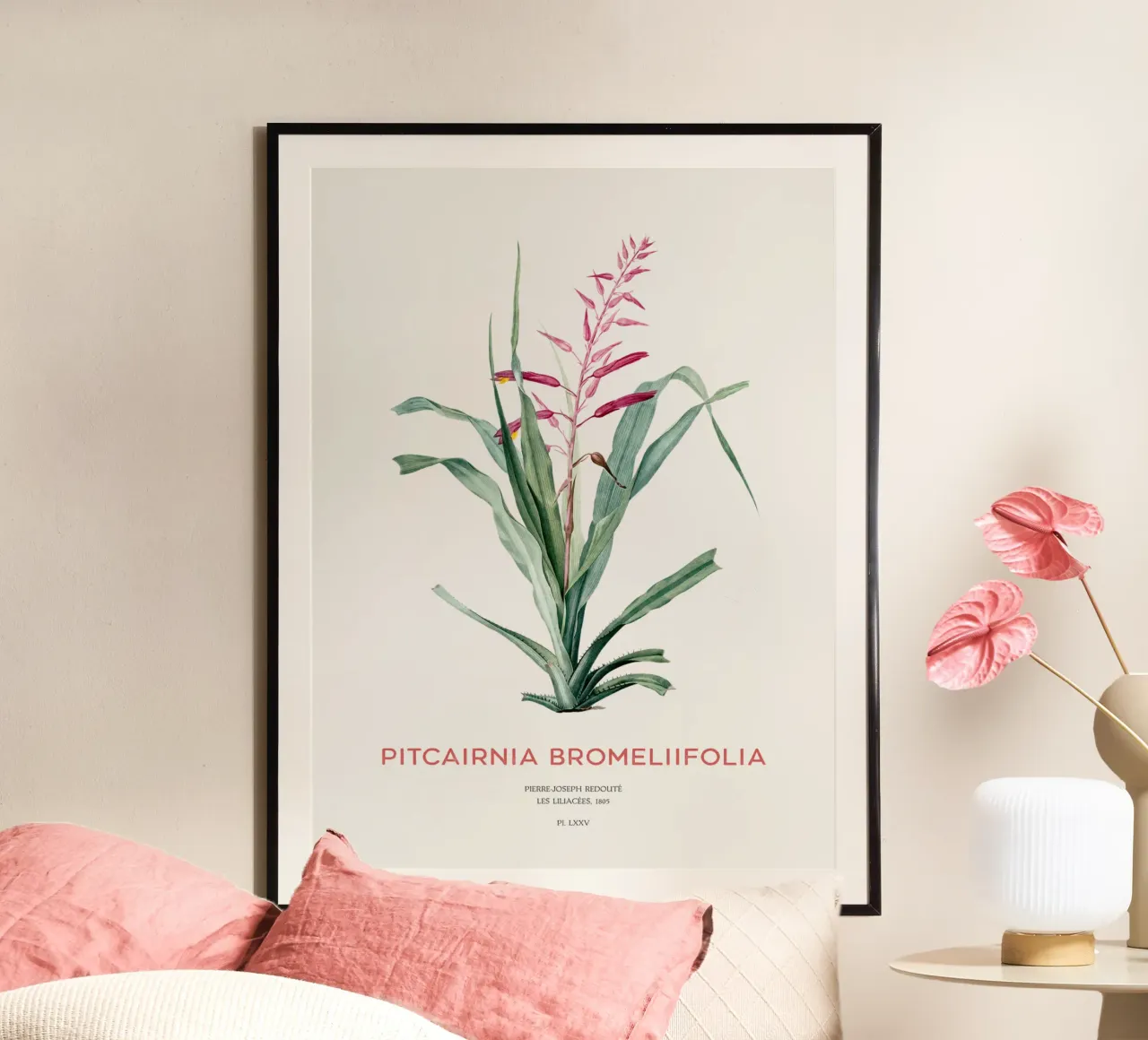 Pitcairnia bromeliifolia fiore carta hahnemühle da Vintagrafica