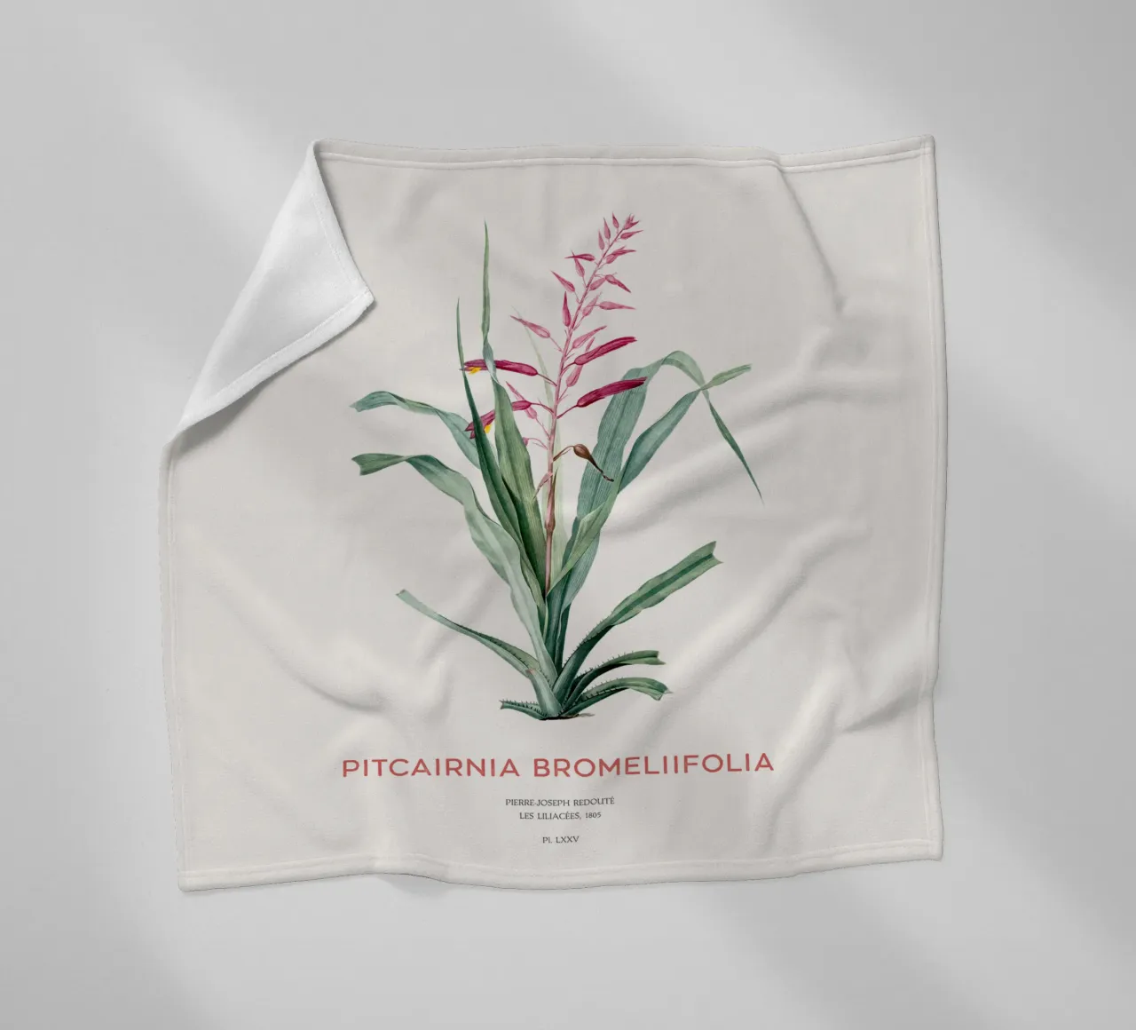 Pitcairnia bromeliifolia fiore coperta in pile da Vintagrafica