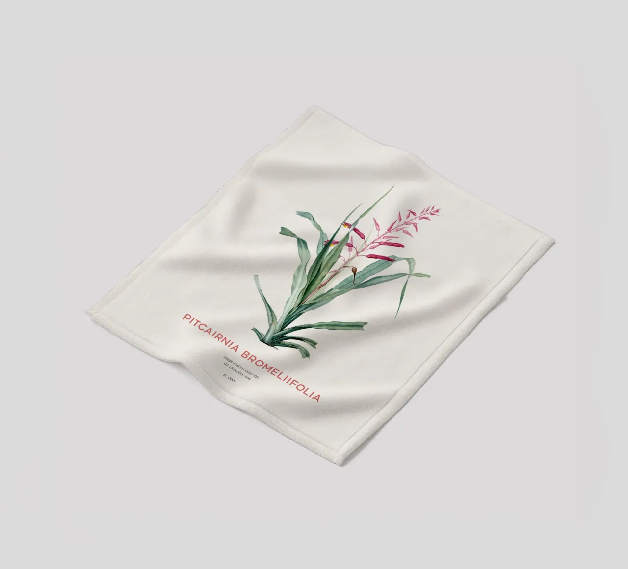 Pitcairnia bromeliifolia fiore coperta in pile da Vintagrafica
