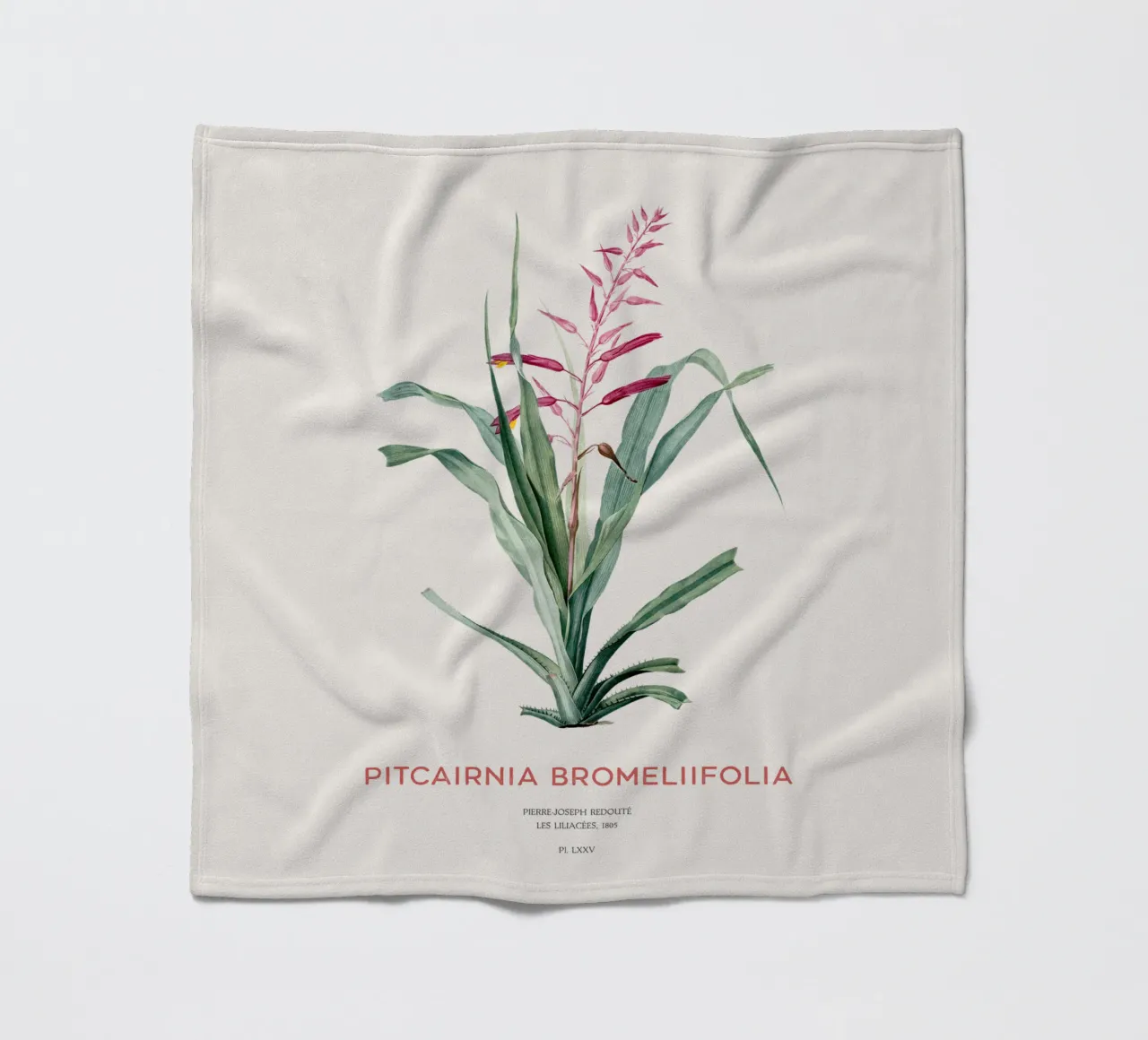 Pitcairnia bromeliifolia fiore coperta in pile da Vintagrafica