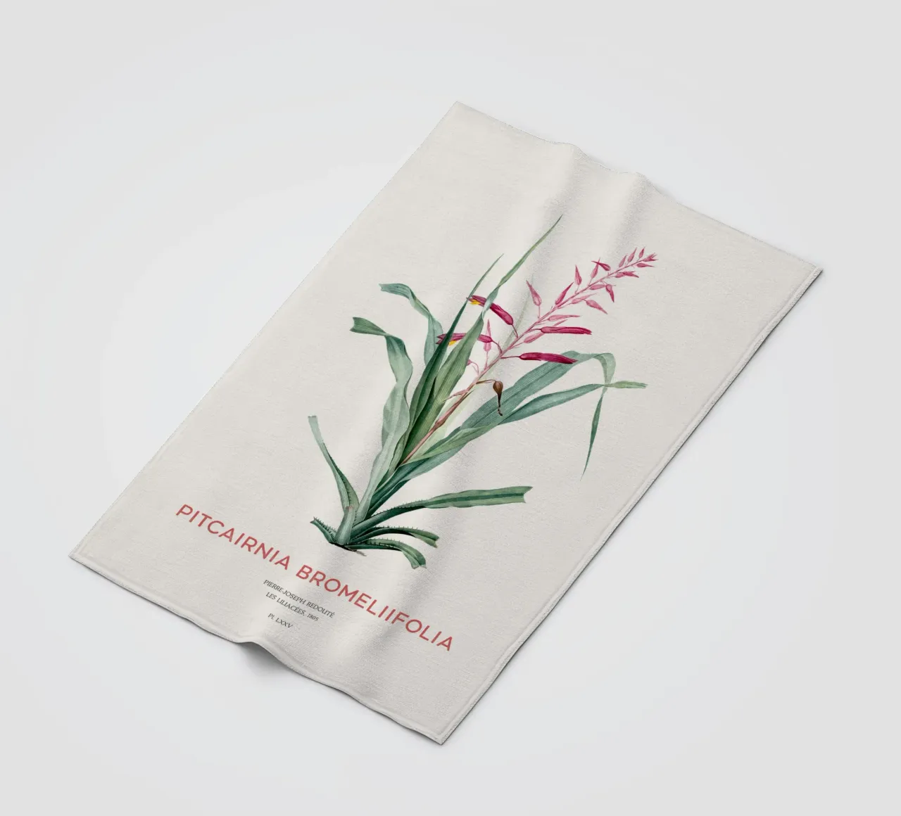 Pitcairnia bromeliifolia fiore coperta in pile da Vintagrafica