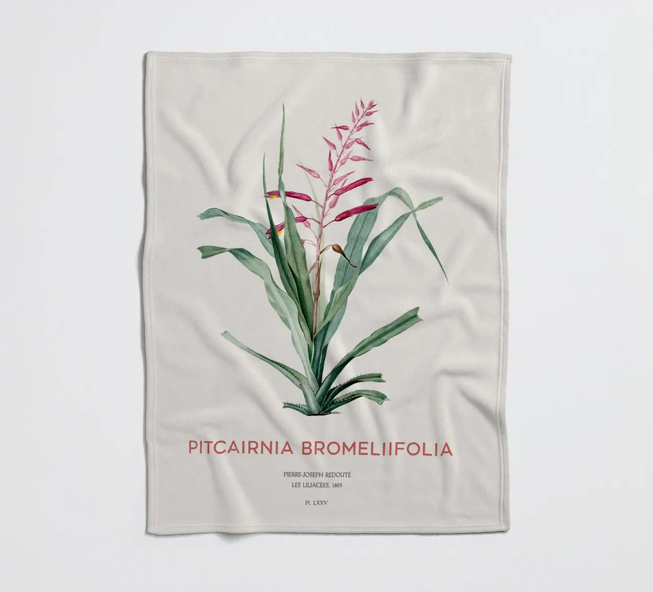 Pitcairnia bromeliifolia fiore coperta in pile da Vintagrafica