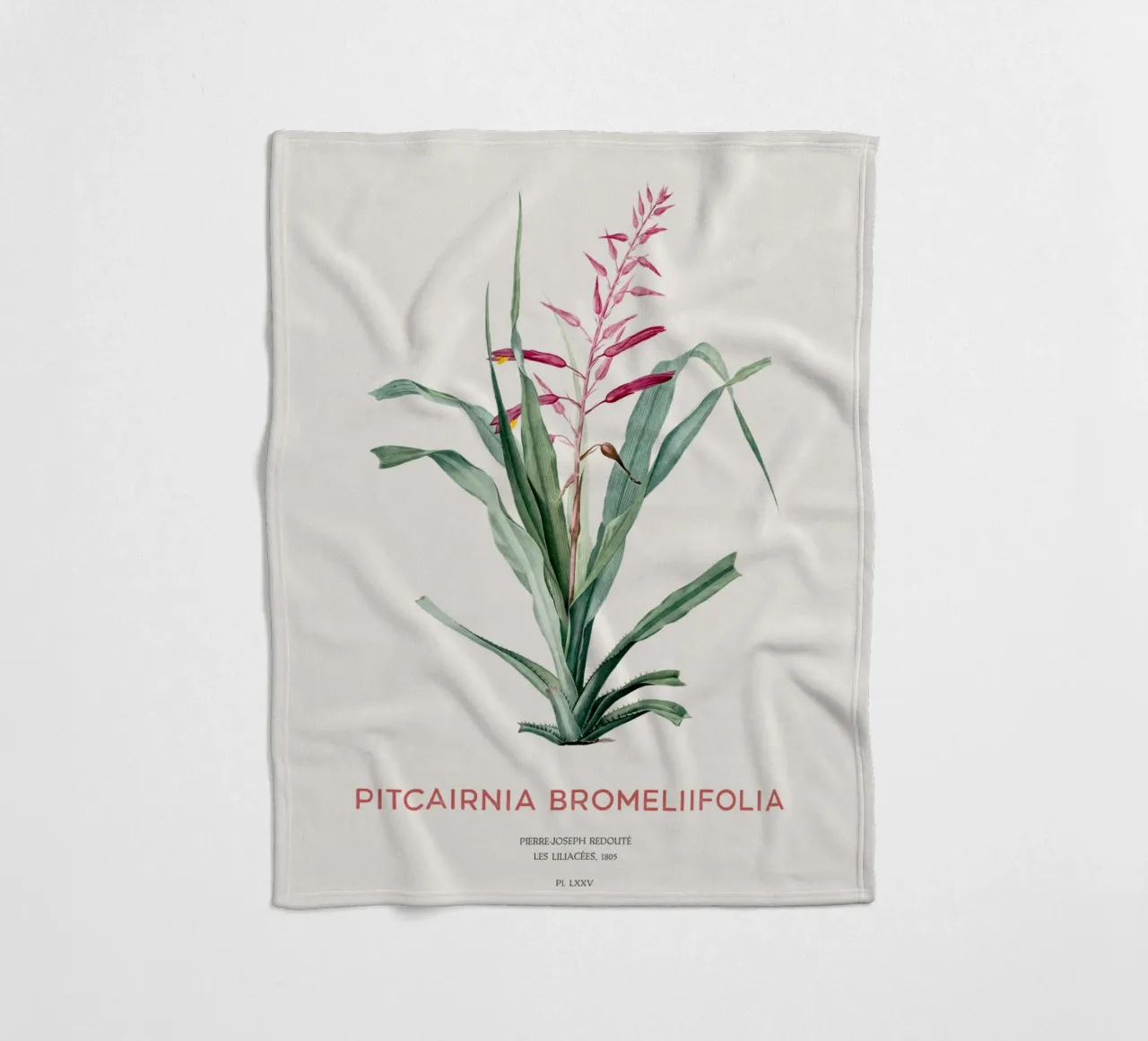 Pitcairnia bromeliifolia fiore coperta in pile da Vintagrafica