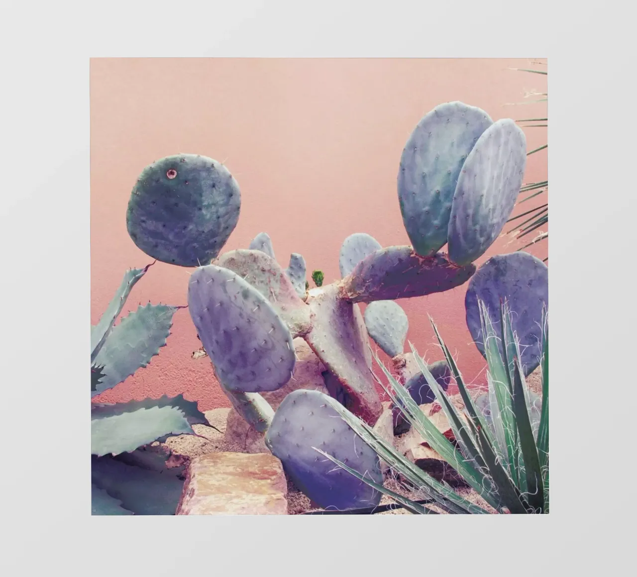 Into the Tropics (Pink) telo in pvc da BlauMaschine