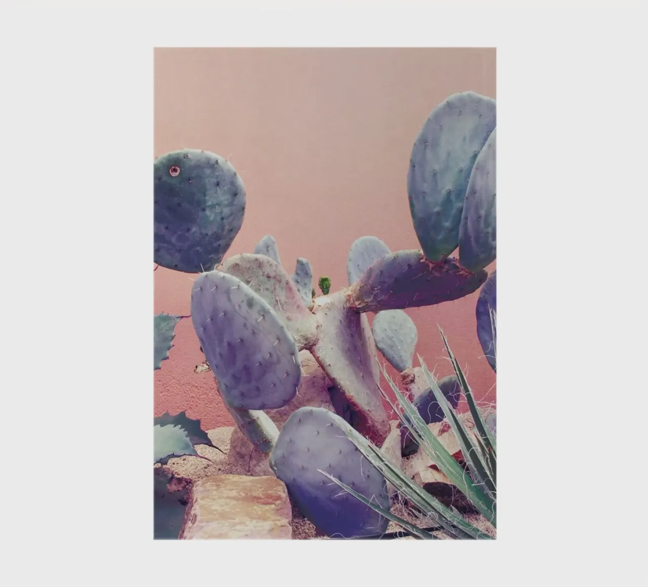 Into the Tropics (Pink) notebook by BlauMaschine