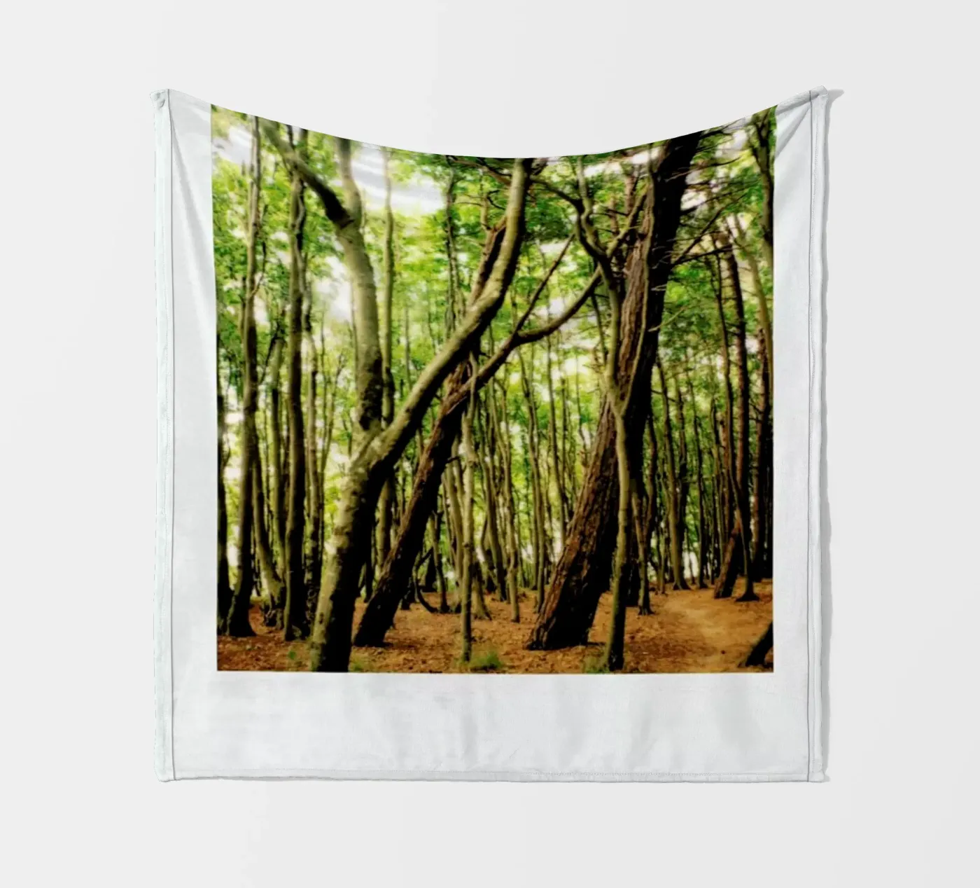 Forest Fleecedecke von Lou Garoup