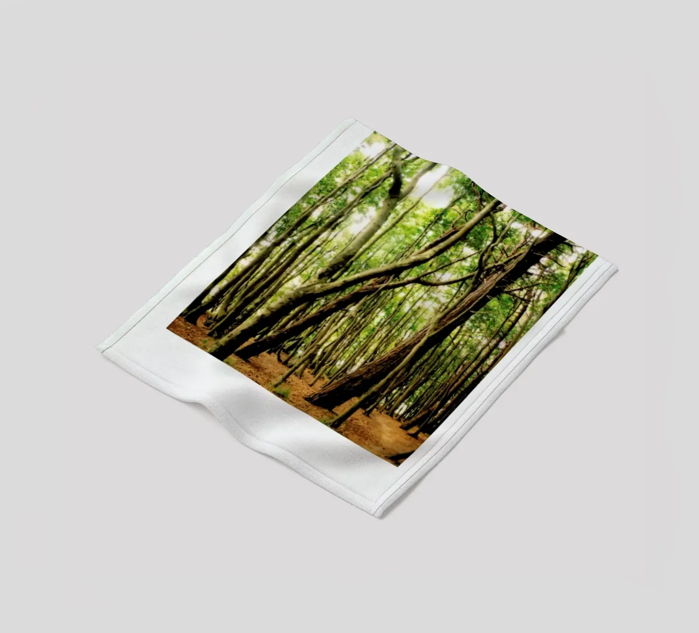 Forest Fleecedecke von Lou Garoup