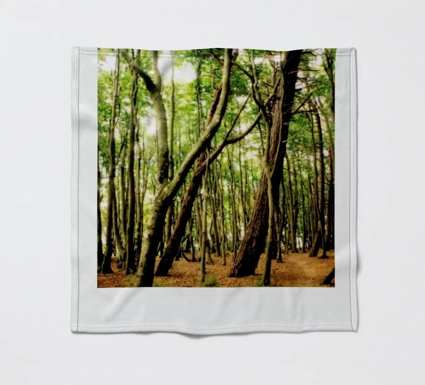 Forest Fleecedecke von Lou Garoup