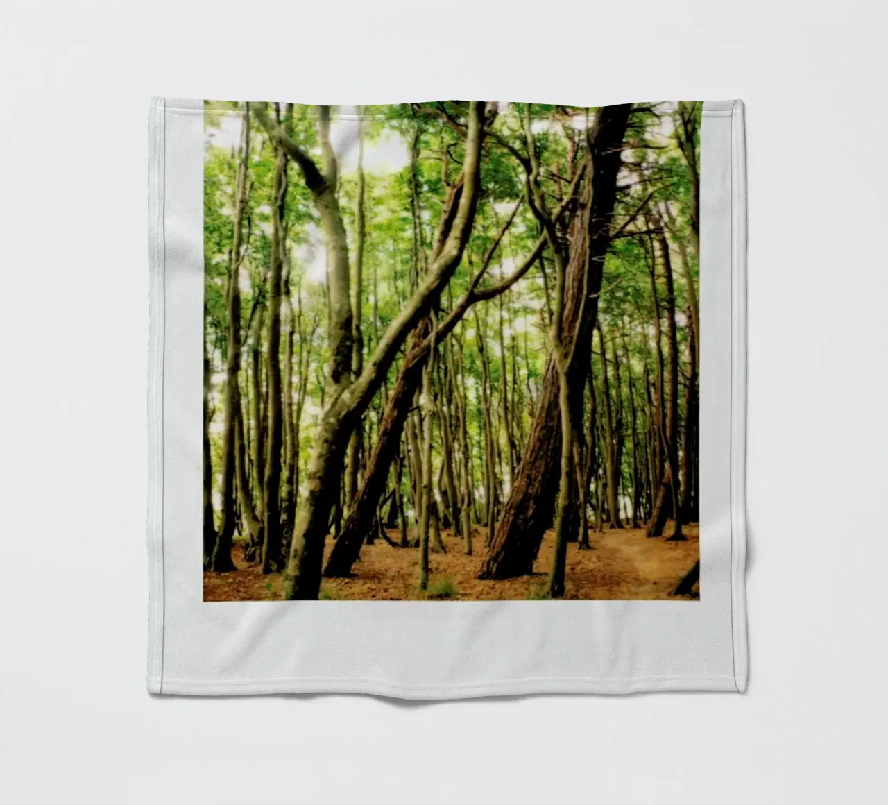 Forest Fleecedecke von Lou Garoup