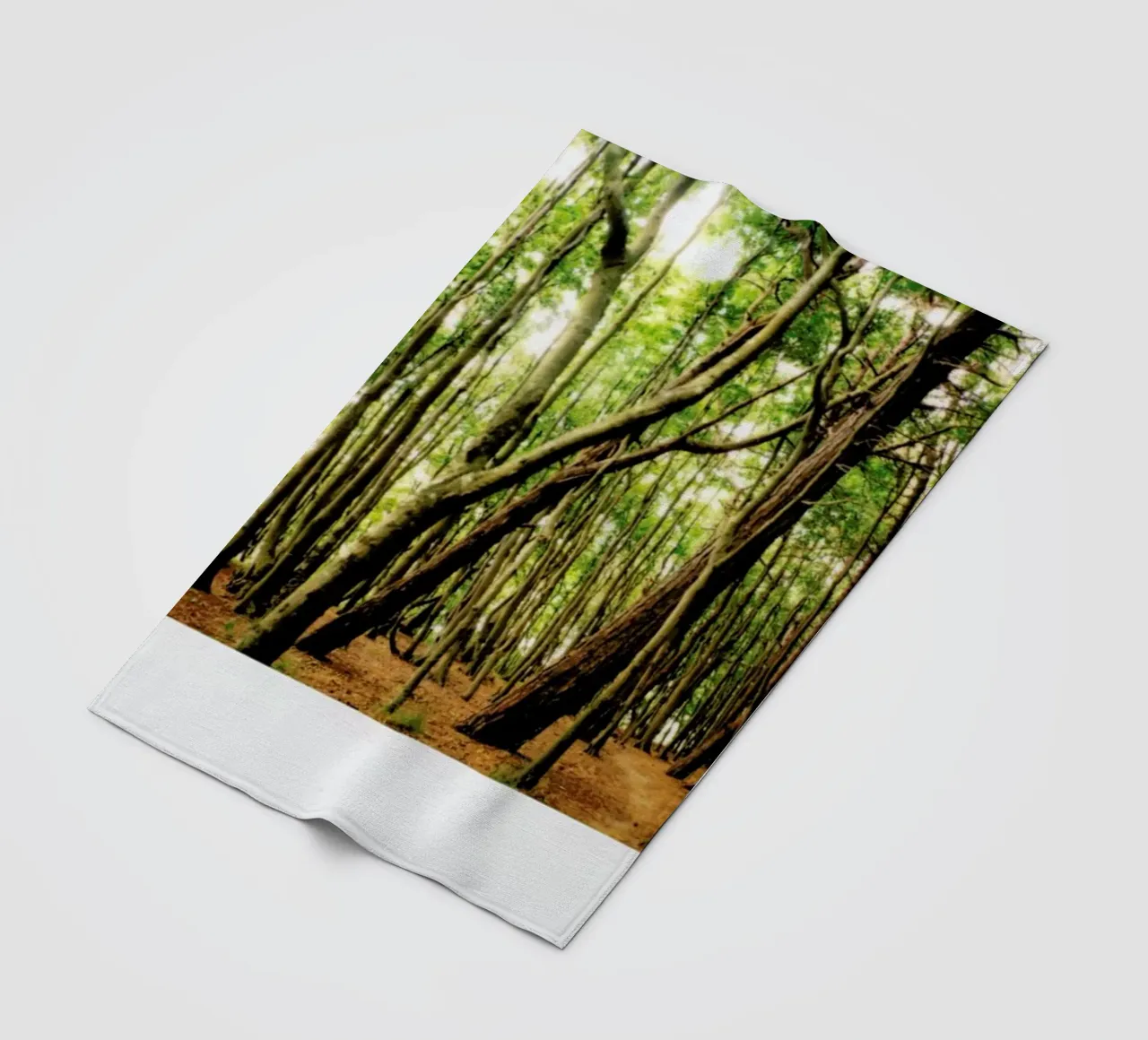 Forest Fleecedecke von Lou Garoup