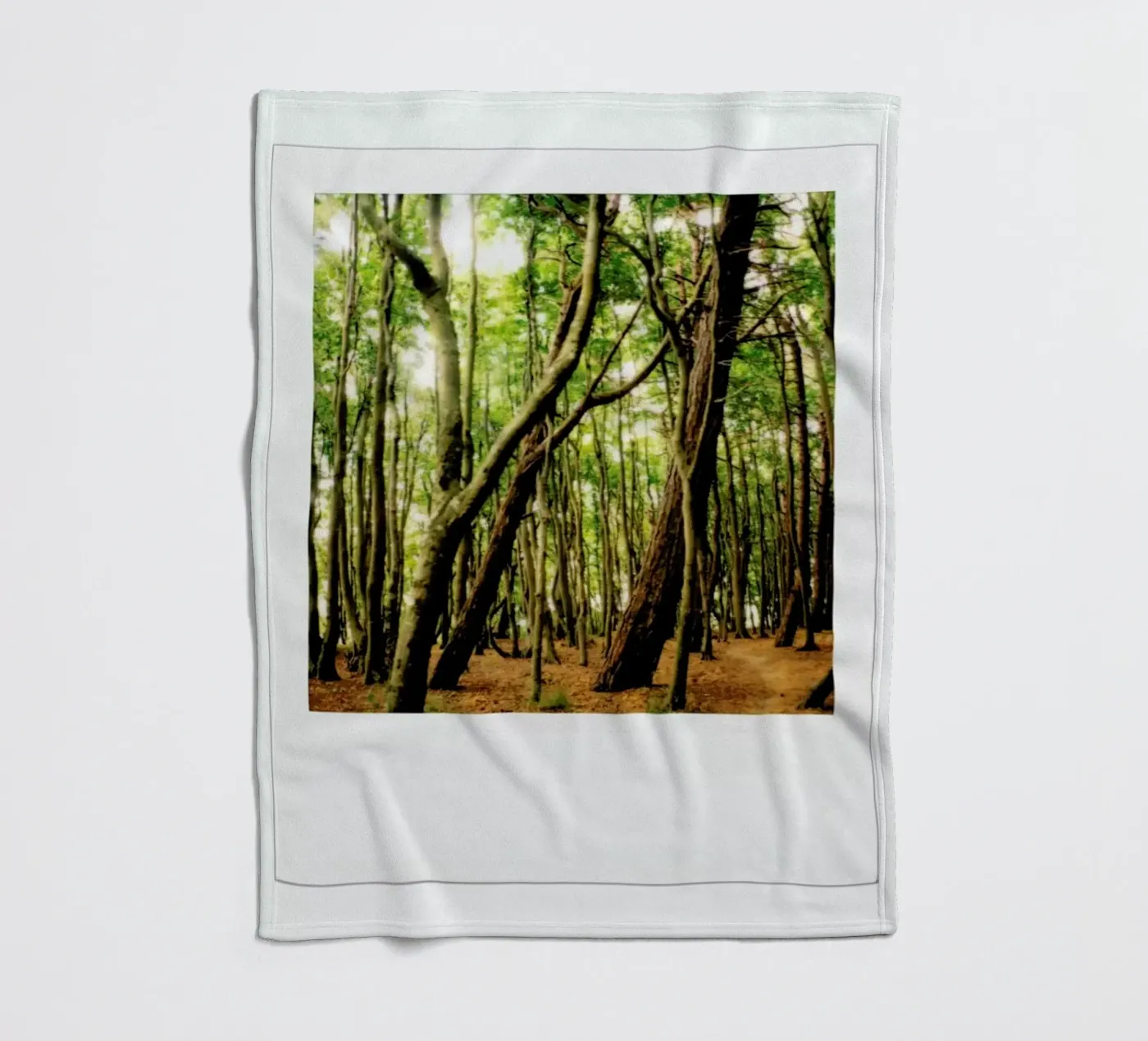 Forest plaid polaire de Lou Garoup