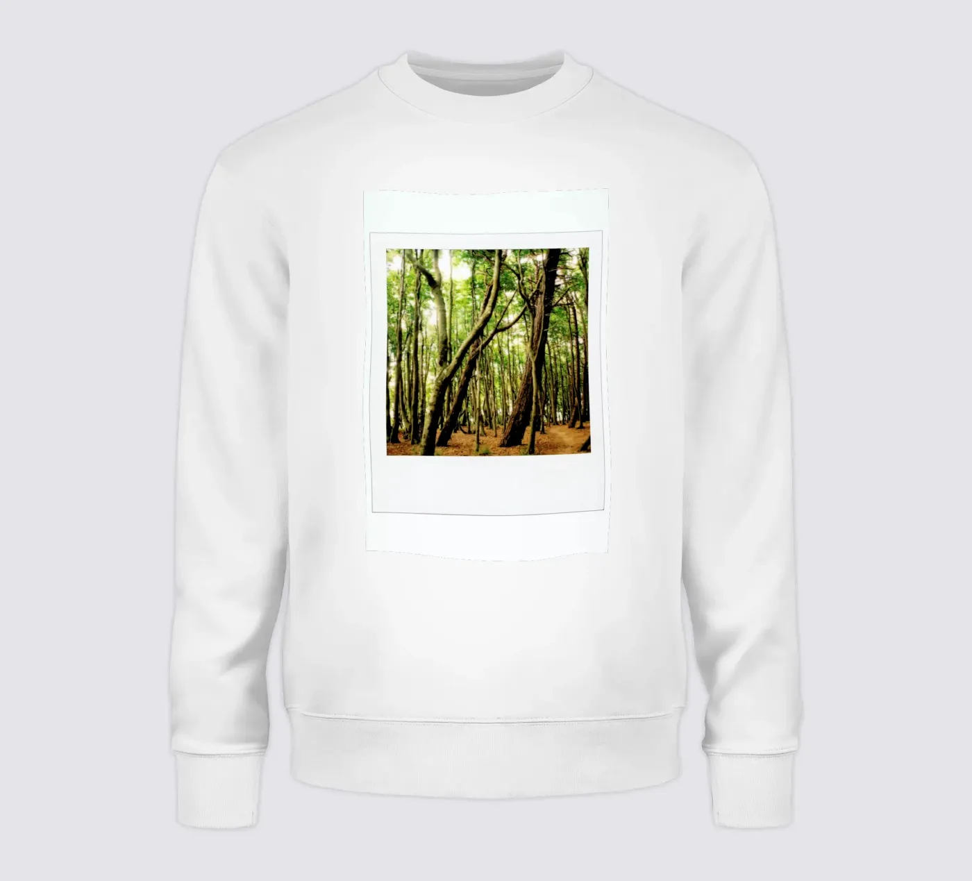 Forest sweatshirt by Lou Garoup
