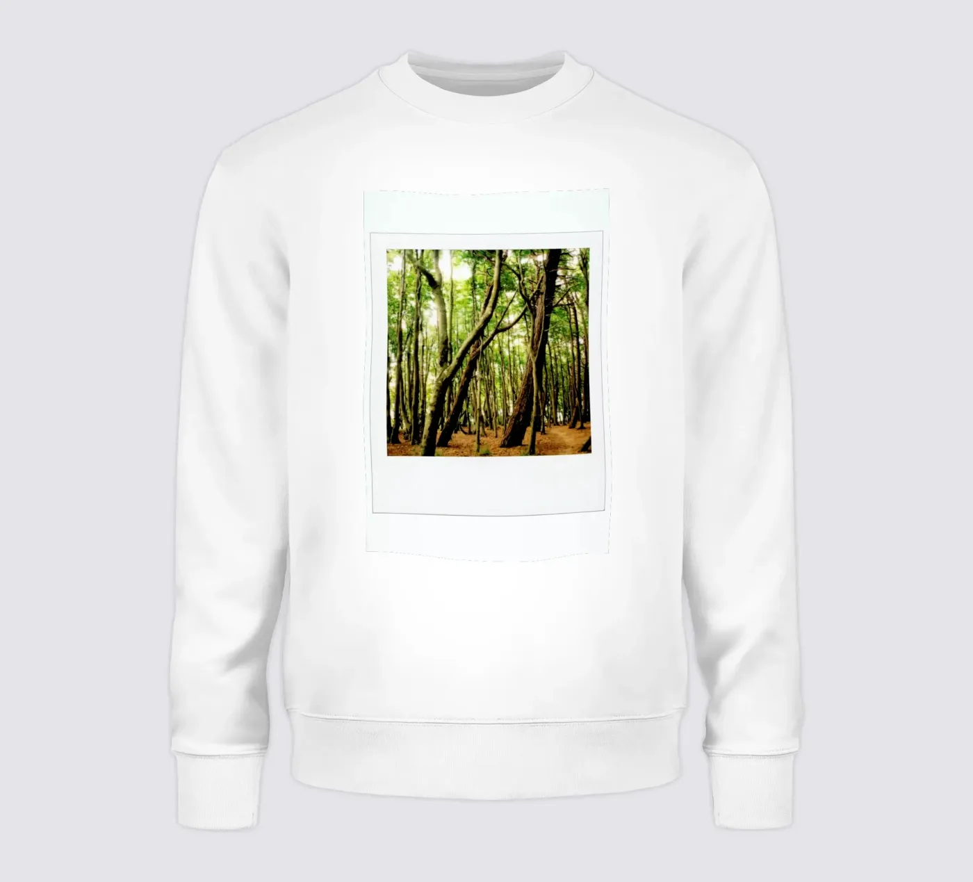 Forest sweatshirt by Lou Garoup